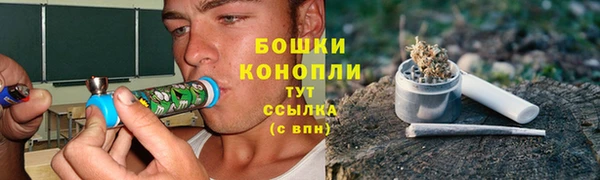 ПСИЛОЦИБИНОВЫЕ ГРИБЫ Балахна