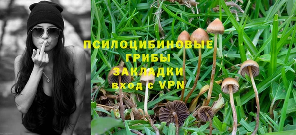 ПСИЛОЦИБИНОВЫЕ ГРИБЫ Балахна