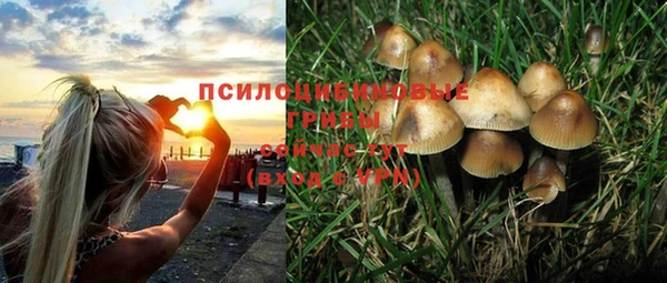 альфа пвп Протвино