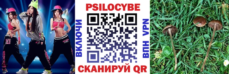 даркнет сайт  Магас  Псилоцибиновые грибы Psilocybe 